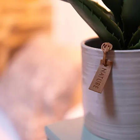 Casa Rural Pineiro, De Vila Sen Vento Casa di campagna *