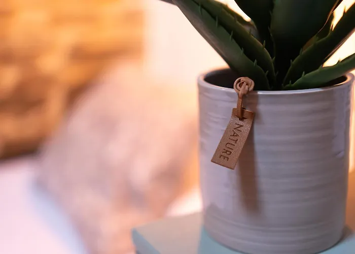 Casa Rural Pineiro, De Vila Sen Vento Venkovský dům *